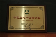 B1、中國(guó)房地產(chǎn)誠(chéng)信企業(yè)2005—2006年